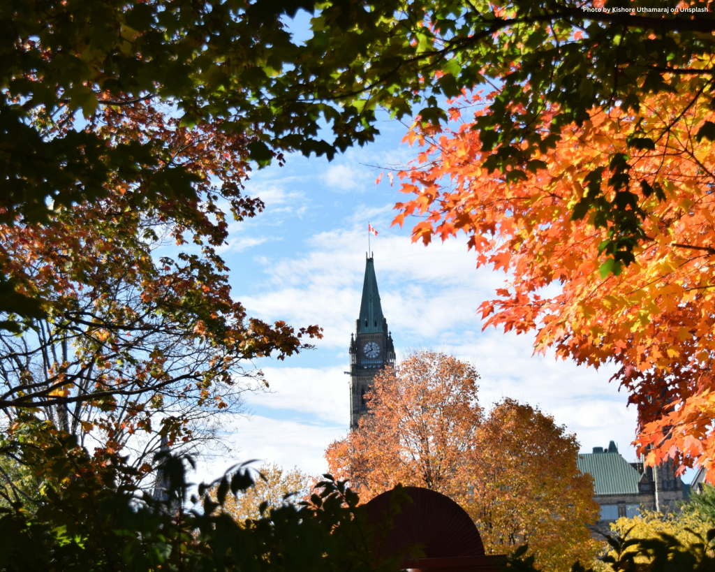 Return of Parliament Fall 2024 TSA